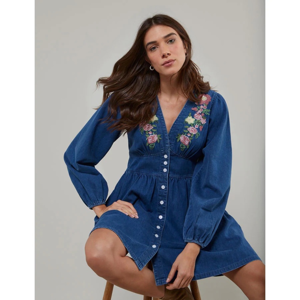 Starlight Denim Embroidered Mini Dress (Contemporary)